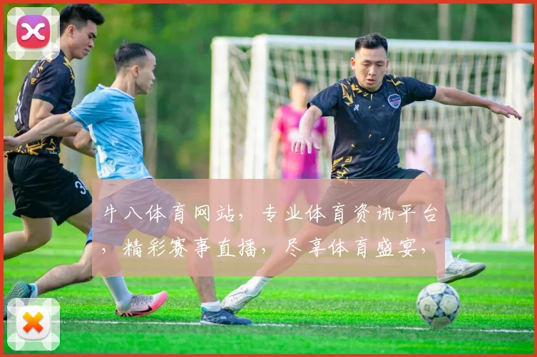 牛八体育网站，专业体育资讯平台，精彩赛事直播，尽享体育盛宴，体育迷必备