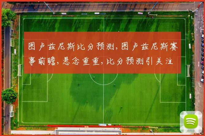 图卢兹尼斯比分预测,图卢兹尼斯赛事前瞻,悬念重重,比分预测引关注